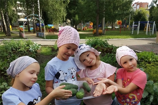 Первые огурцы!