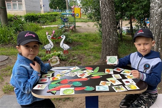 Ее величество капуста
