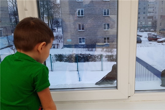 Зимний экспресс. Наблюдение за птицами.