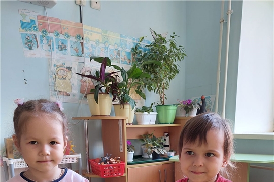 Коллекция круп