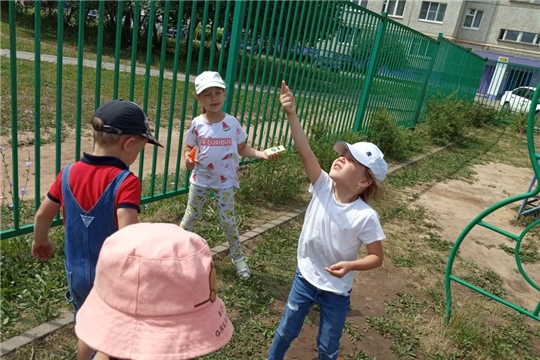 Наблюдение за божьей коровкой.