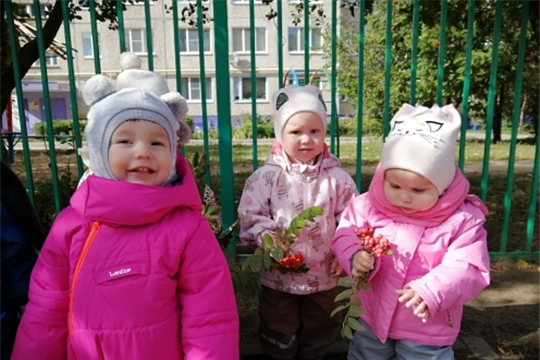 Наблюдение за рябиной