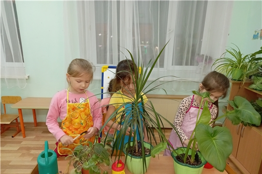 Комнатные растения-наши друзья!