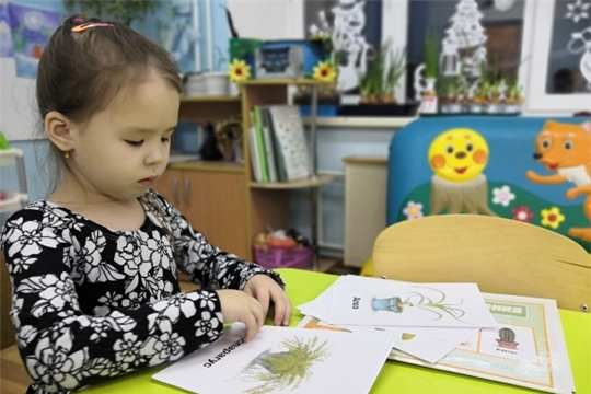 Комнатные растения в детском саду