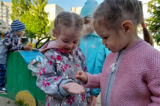 Развитие у детей наблюдательности во время прогулок
