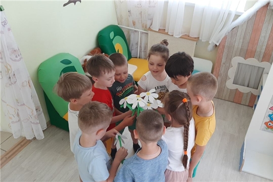 День ромашек