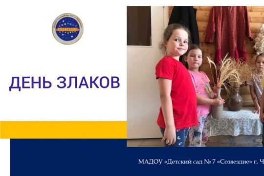 День злаков