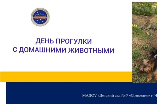 День прогулки с домашними животными