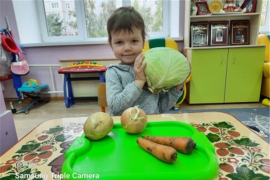 Капуста-королева питания
