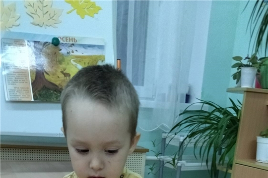 Пазлы для развития детей