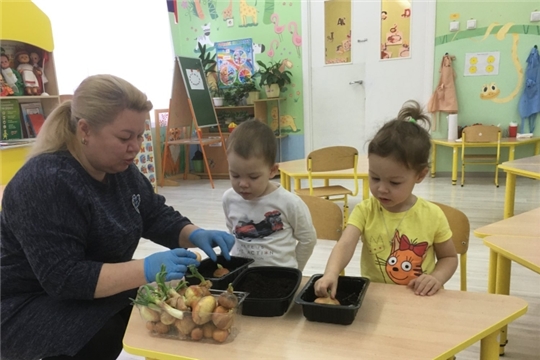 Зимний огород на подоконнике