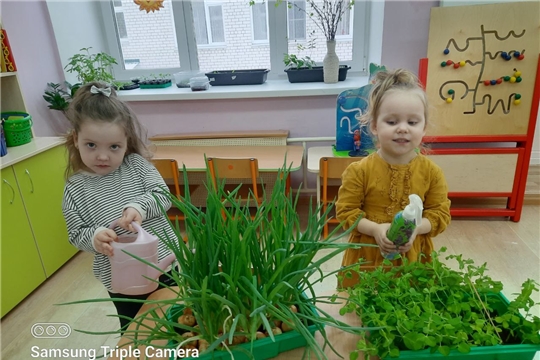 Огород на окне