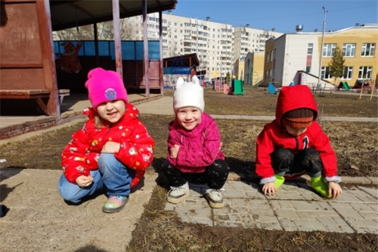 Наблюдение за насекомыми весной