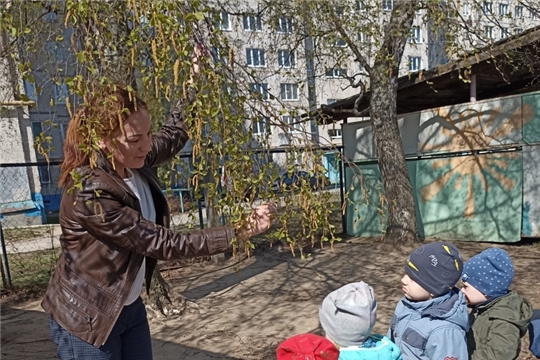 Наблюдения на прогулках