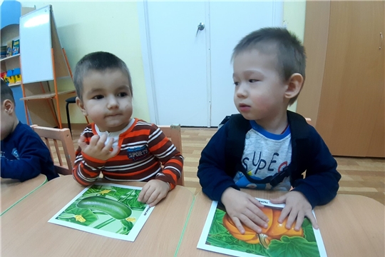 Культура здорового питания