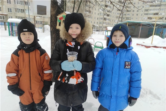 Экологическая акция «Покормите птиц зимой!»