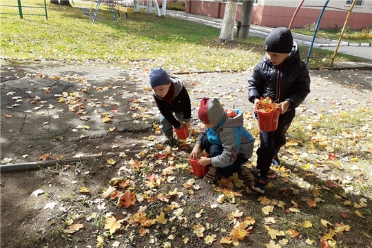 Не мешайте мне трудиться