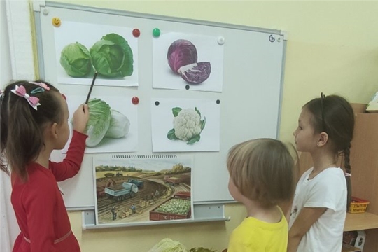 Польза капусты в рационе ребёнка
