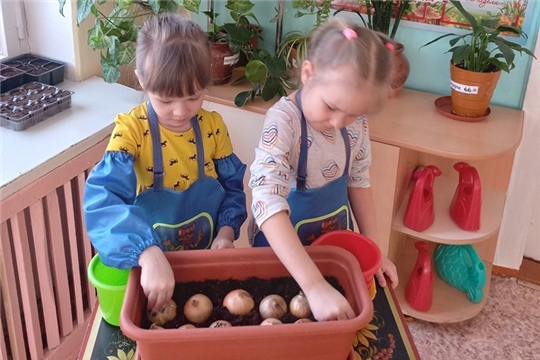 Посадили дети лук!