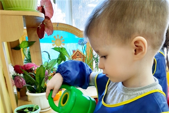 Уход за комнатными растениями.