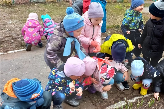 Весенние наблюдения