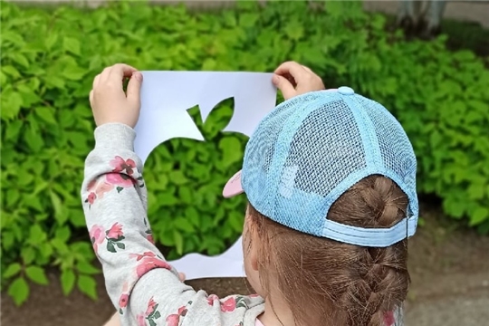 Наблюдение за природой с помощью трафарета.