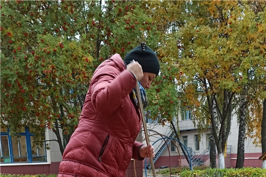 Уборка опавших листьев.