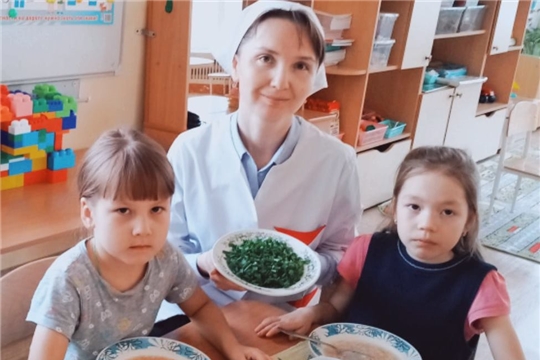 Посадили мы лучок...