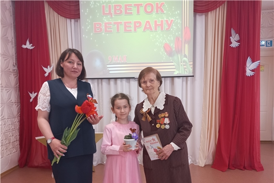 Цветок ветерану