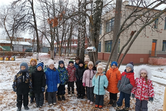 Юные эколята заботятся о пернатых друзьях