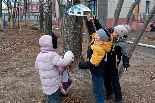 Наблюдение за птицами