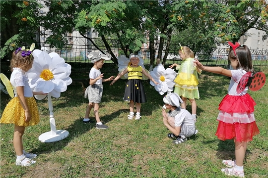 На лесной полянке. Встреча с насекомыми