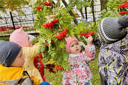 Осенняя прогулка малышей