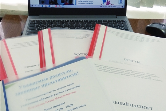 Организация работы с семьями «группы риска» в условиях ДОУ