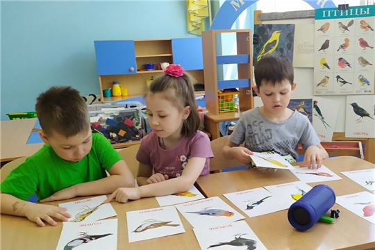 Международный день птиц