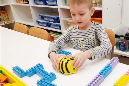 Лабиринт для пчёлок Bee-bot