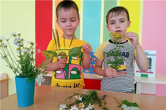 День лекарственных растений