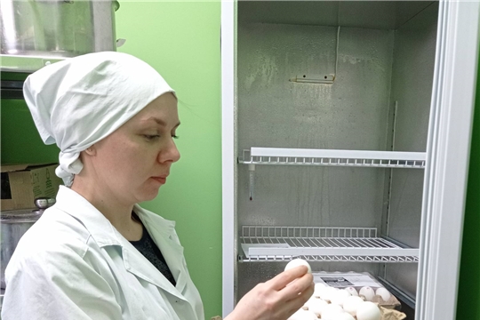 Контроль качества питания