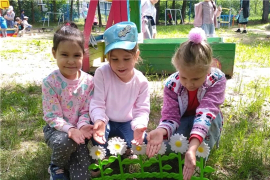 Огород в детском саду