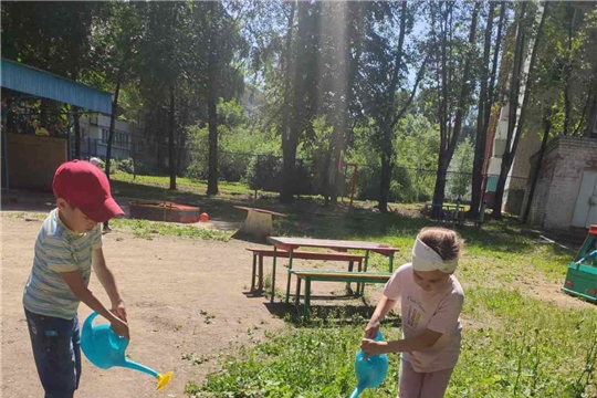  Труд в природе