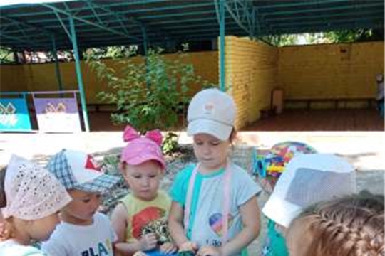 Юные исследователи