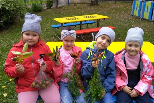 Урожай на славу. Полезные овощи с детского огорода