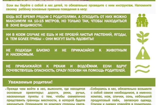 Безопасное лето