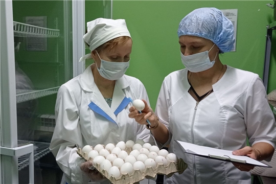 Контроль качества питания