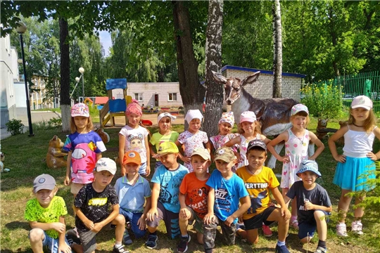 Безопасное поведение с домашними животными