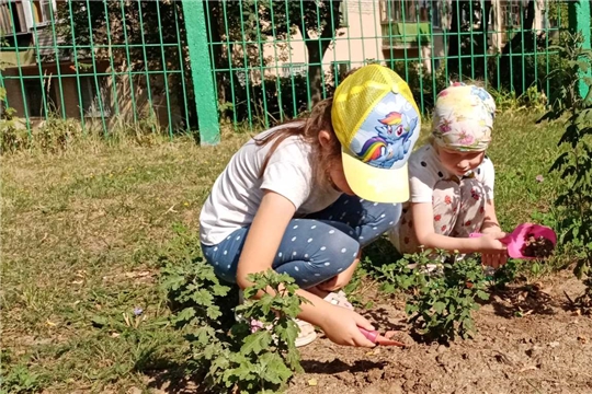 Трудовое воспитание на участке детского сада.