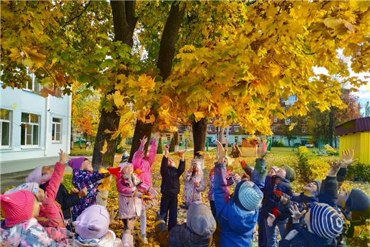 Экскурсия в осенний лес