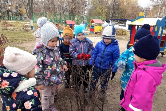 Наблюдения осенью