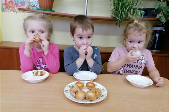 Лук и чеснок – здоровью друзья!