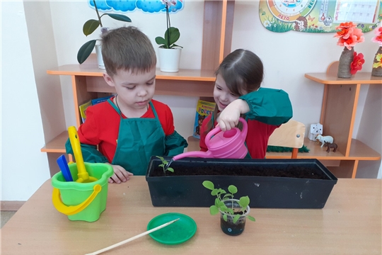 Цветок ветерану